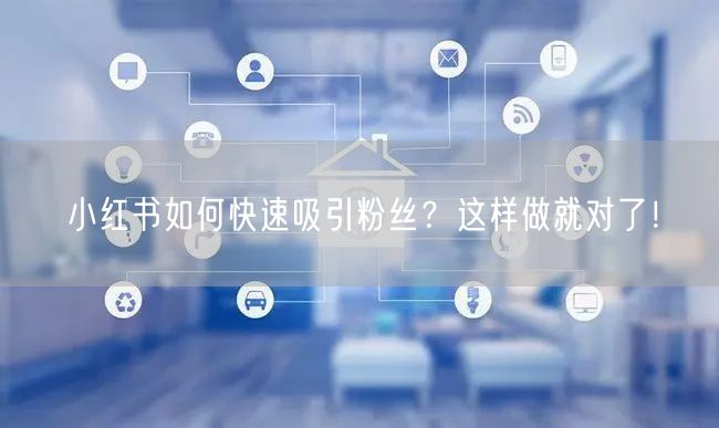 小红书如何快速吸引粉丝？这样做就对了！