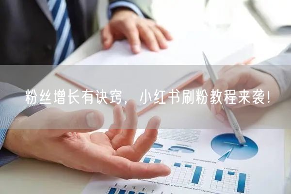 粉丝增长有诀窍，小红书刷粉教程来袭！