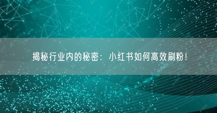揭秘行业内的秘密：小红书如何高效刷粉！