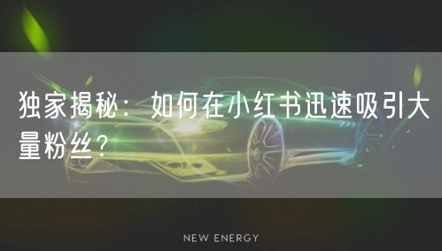 独家揭秘：如何在小红书迅速吸引大量粉丝？