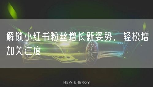 解锁小红书粉丝增长新姿势，轻松增加关注度