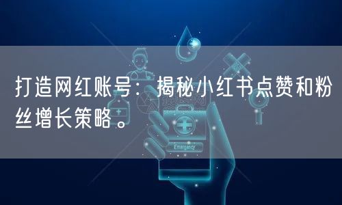 打造网红账号：揭秘小红书点赞和粉丝增长策略。