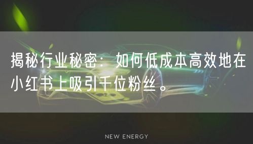 揭秘行业秘密：如何低成本高效地在小红书上吸引千位粉丝。